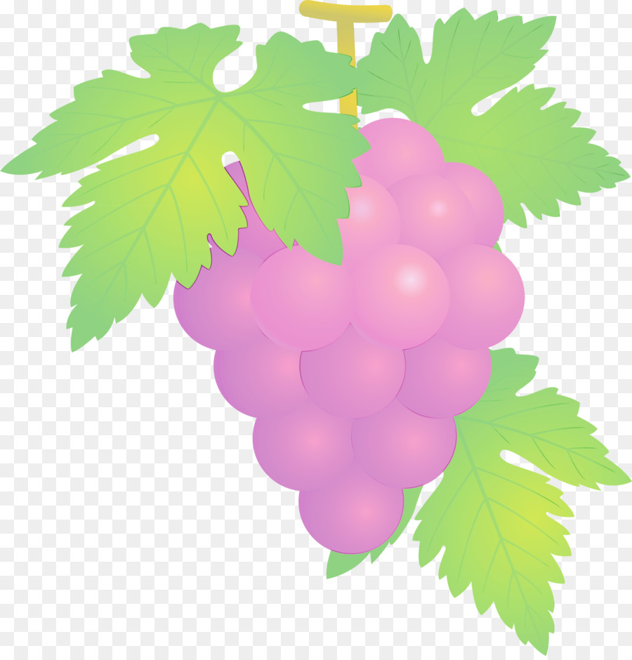 Raisin，Feuilles De Vigne PNG