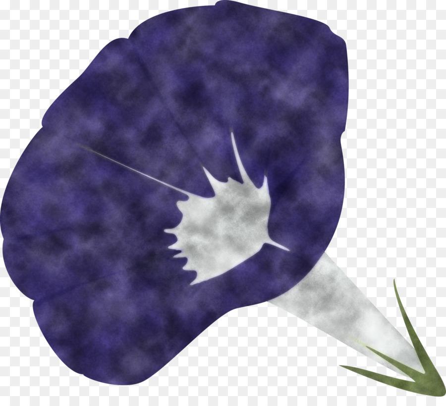 Violet，Feuille PNG