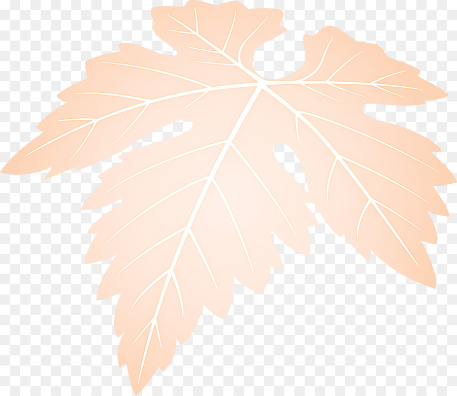 Feuille Violette，Usine PNG