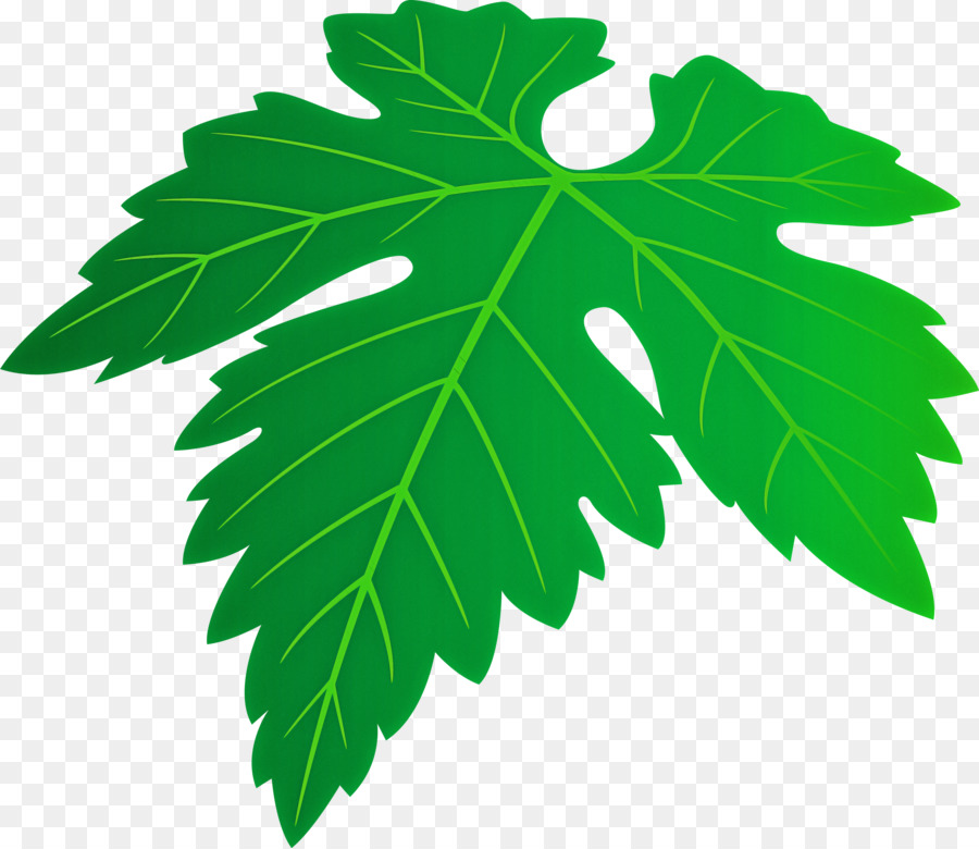 Arbre，Vert PNG