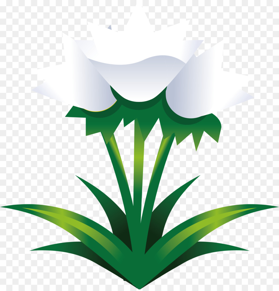 Fleur Violette，Usine PNG