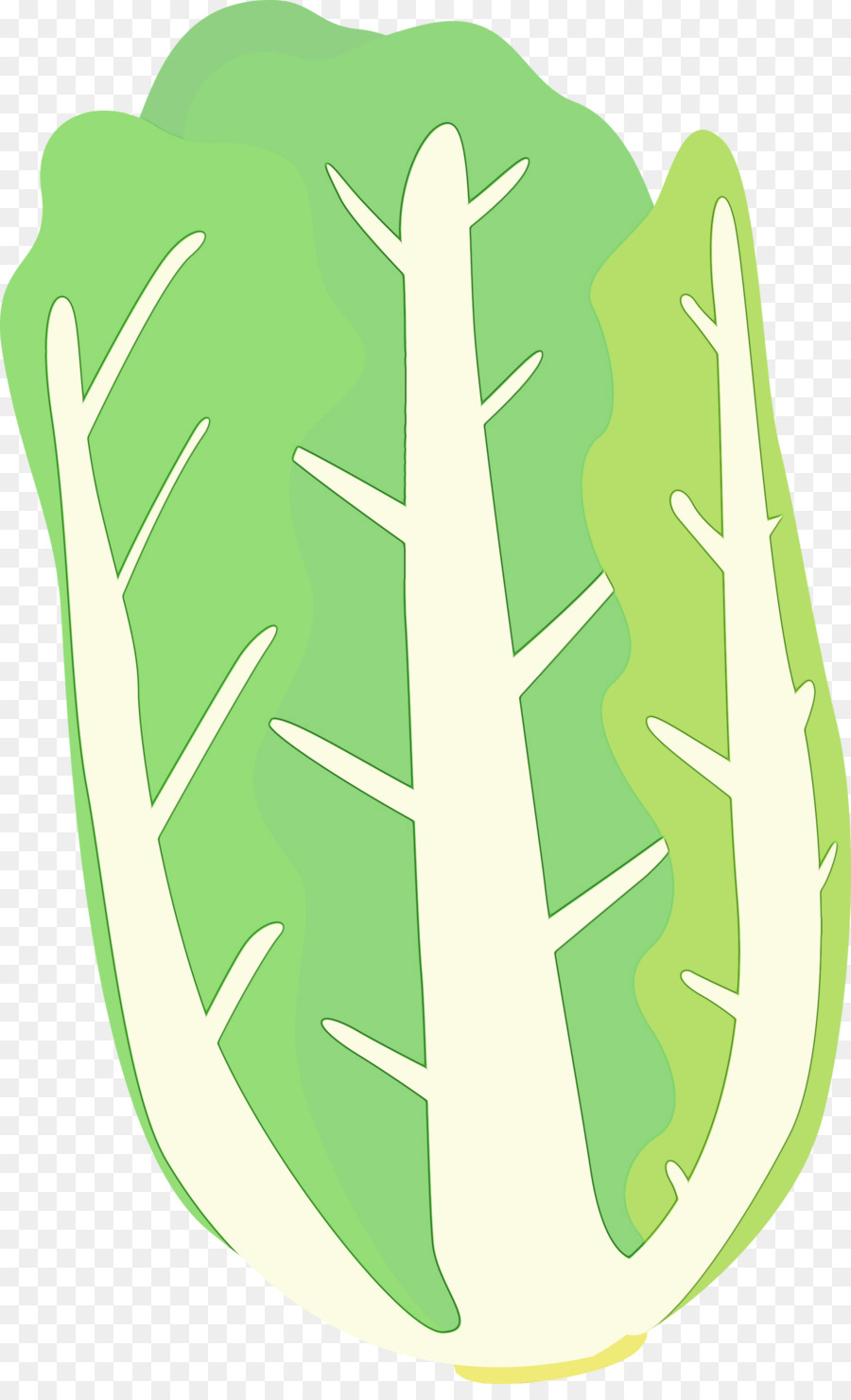 Vert，Feuille PNG