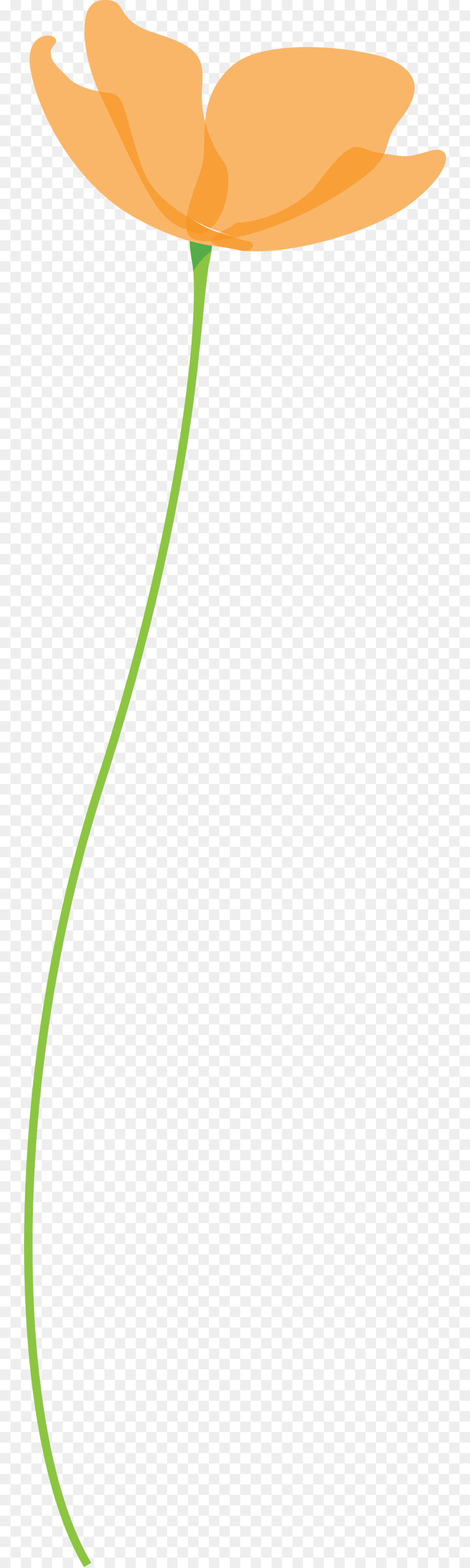 Vert，Feuille PNG