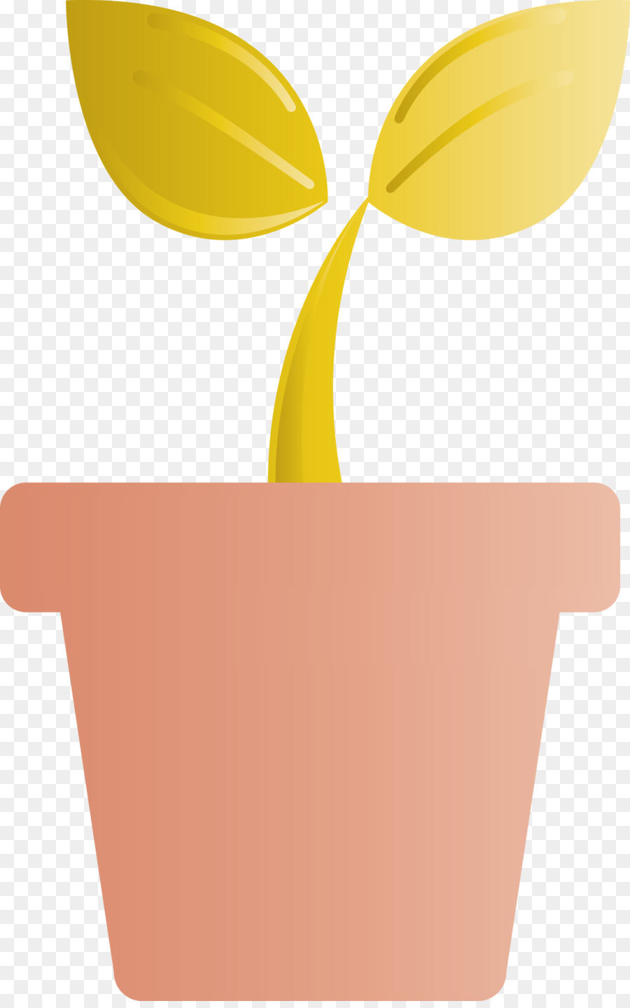 Plante En Pot，Usine PNG