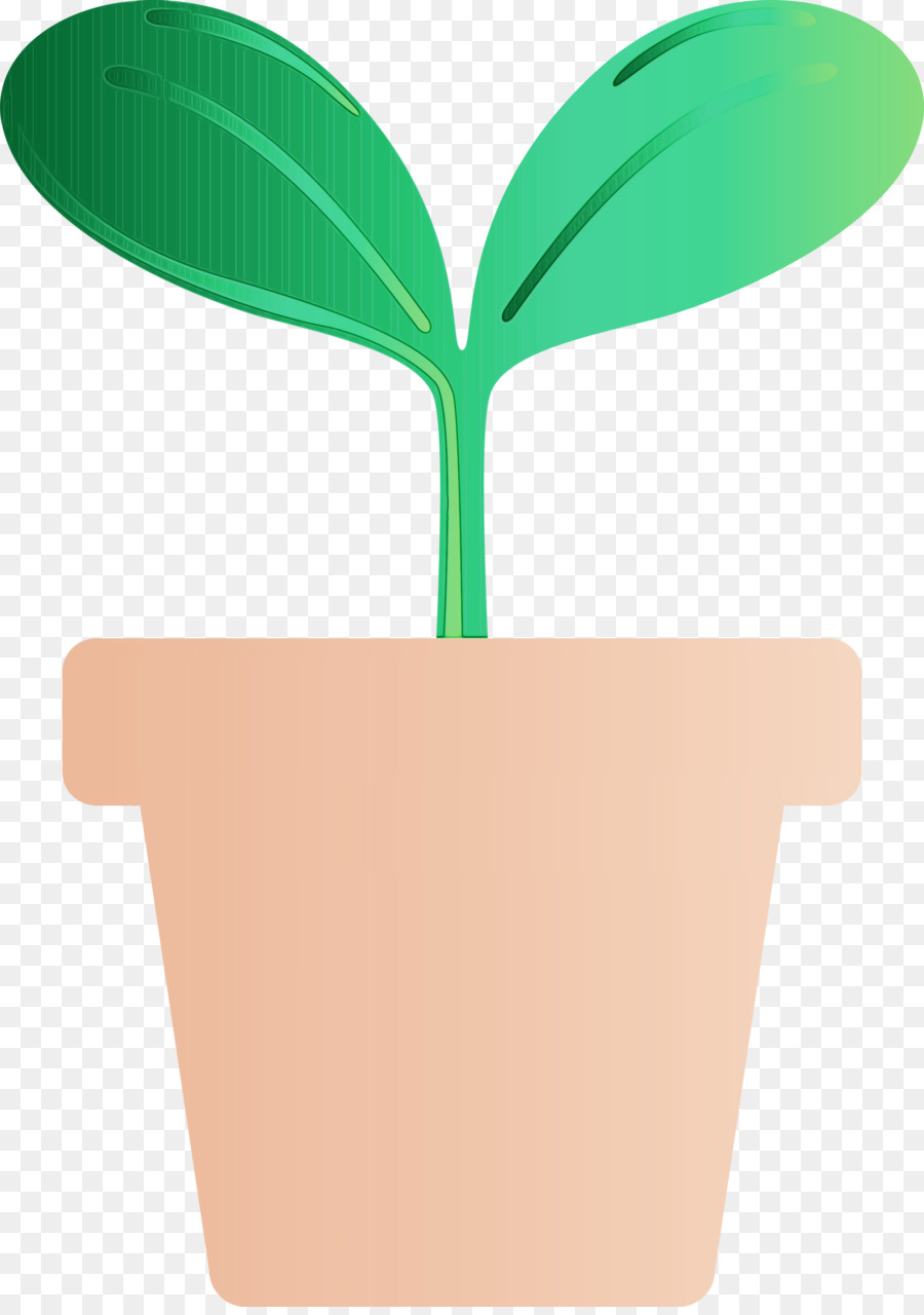 Plante En Pot，Usine PNG