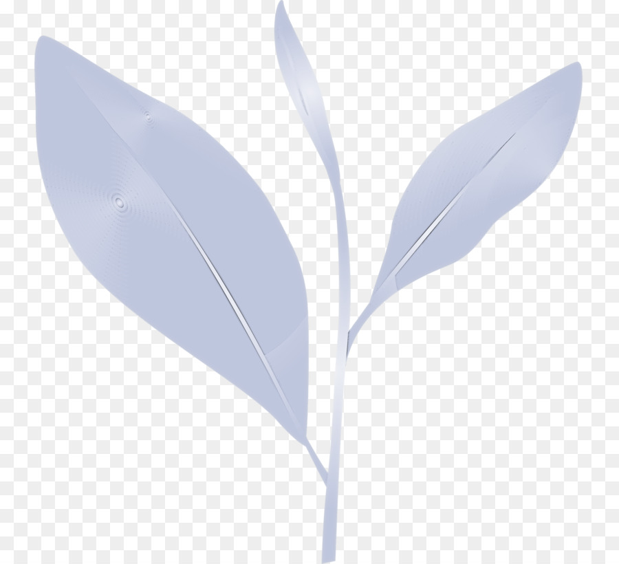 Feuilles，Usine PNG