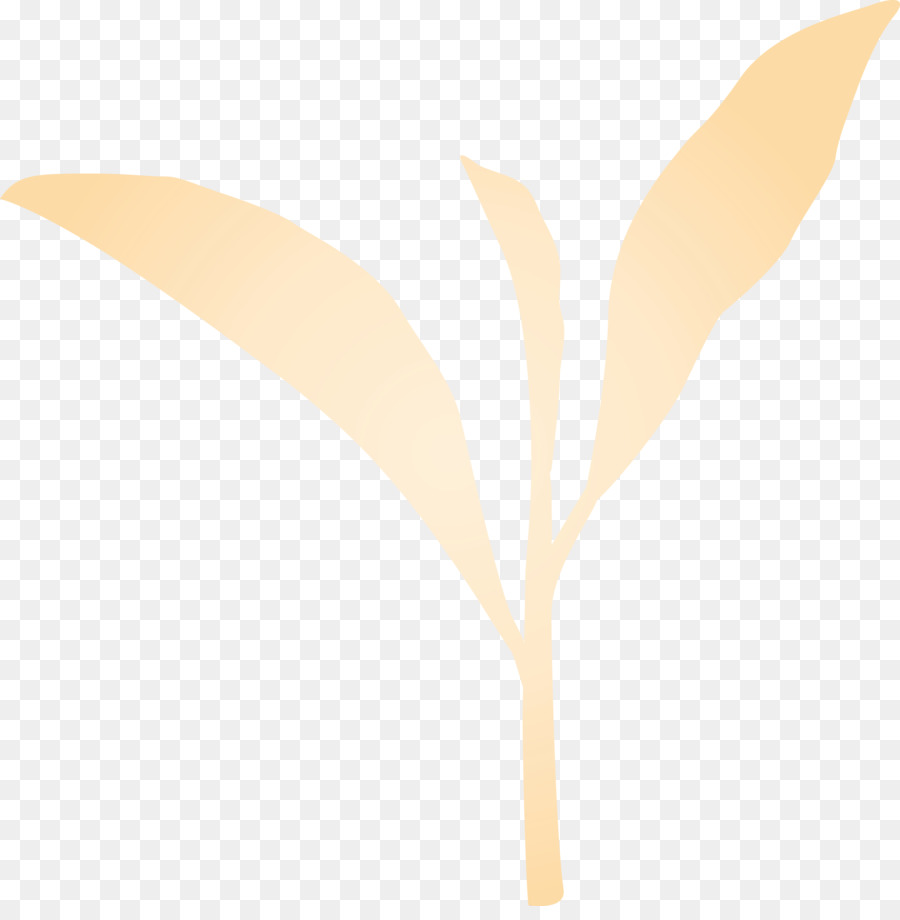 Feuille，Plante PNG