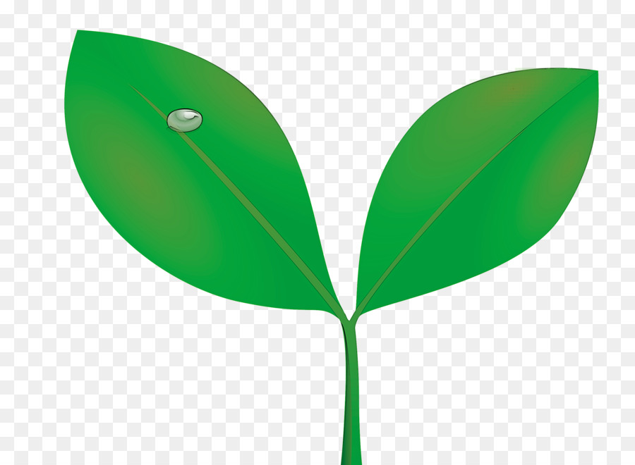 Vert，Feuille PNG