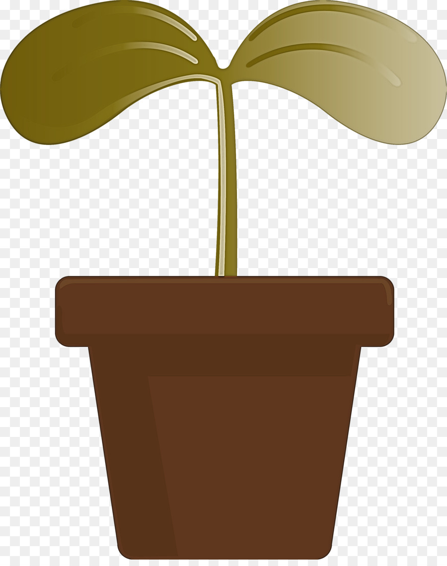 Plante En Pot，Usine PNG