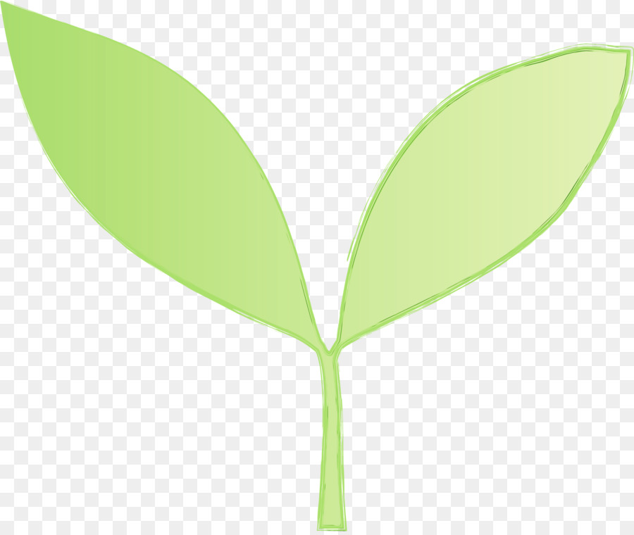 Plante Verte，Feuille PNG