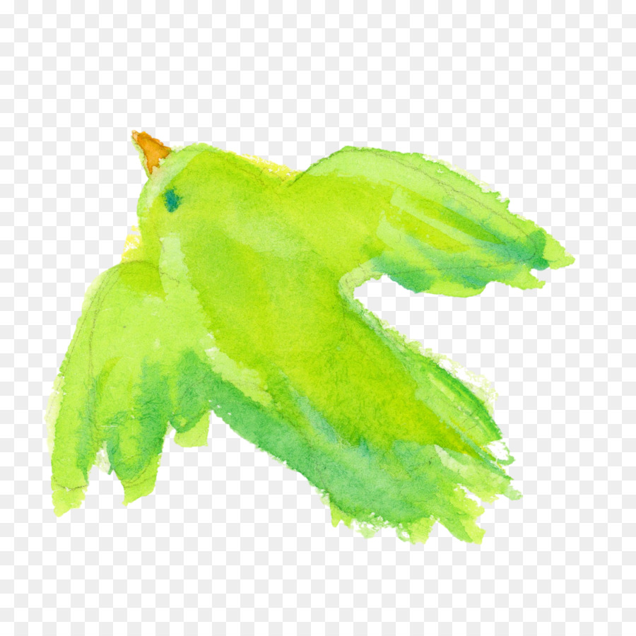 Vert，Feuille PNG