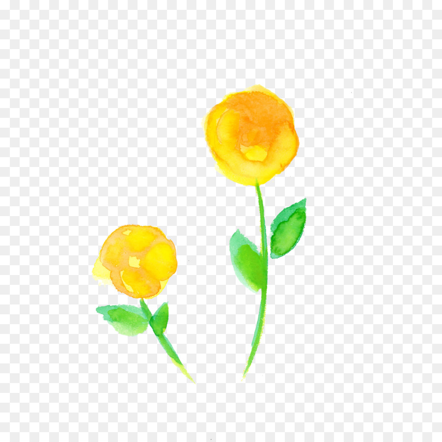 Fleurs Jaunes，Bourgeons PNG