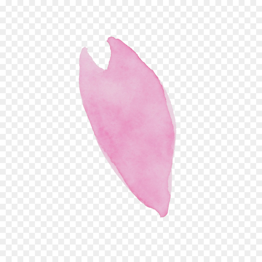 Rose，Feuille PNG