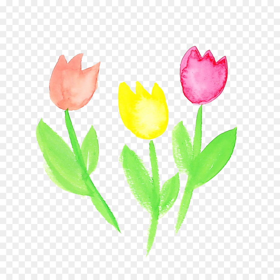 Fleurs，Tulipe PNG