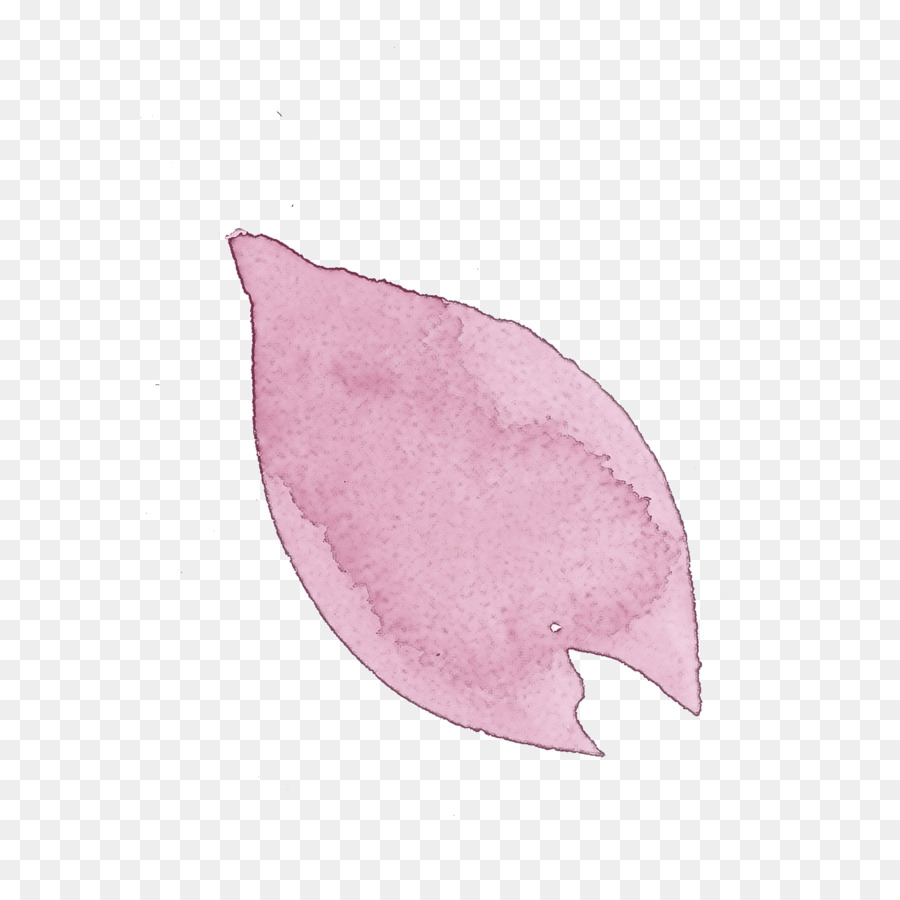 Rose，Feuille PNG