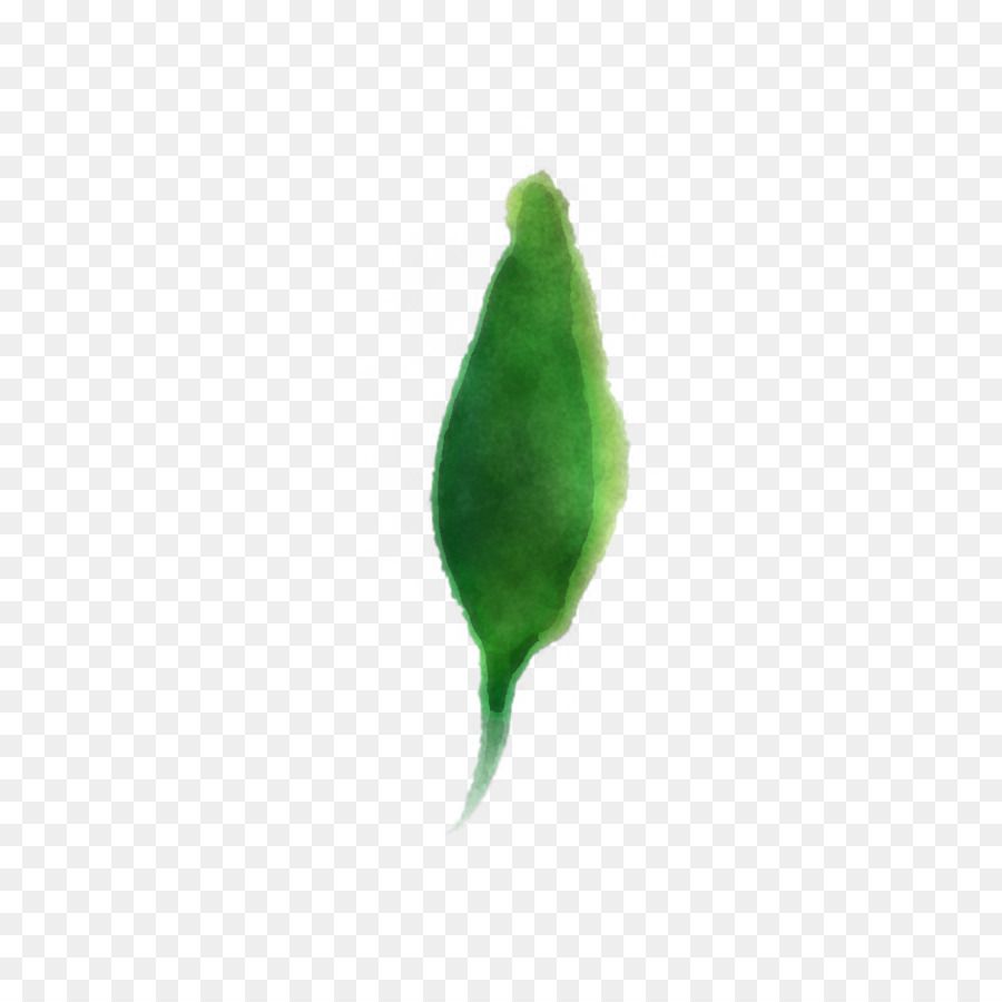 Vert，Feuille PNG