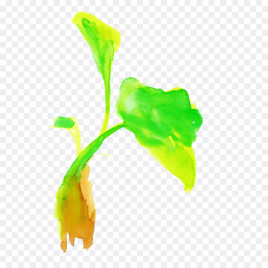 Feuille，Fleur PNG