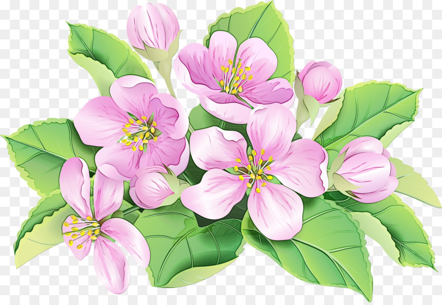 Fleurs，Fleurir PNG