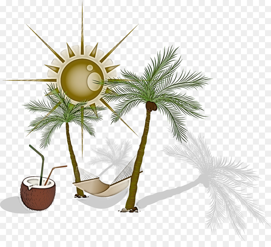 Soleil，Palmiers PNG