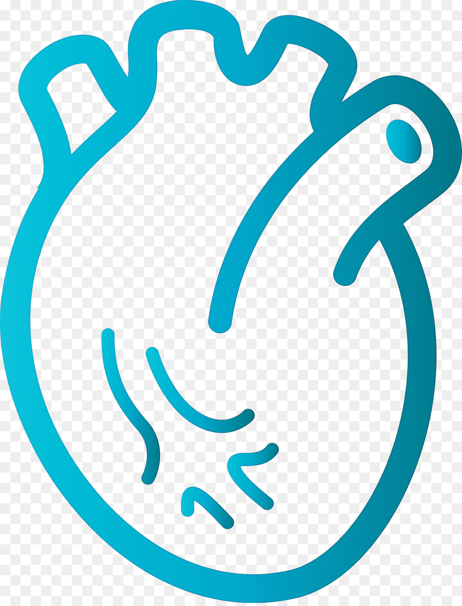 Cœur，Anatomie PNG