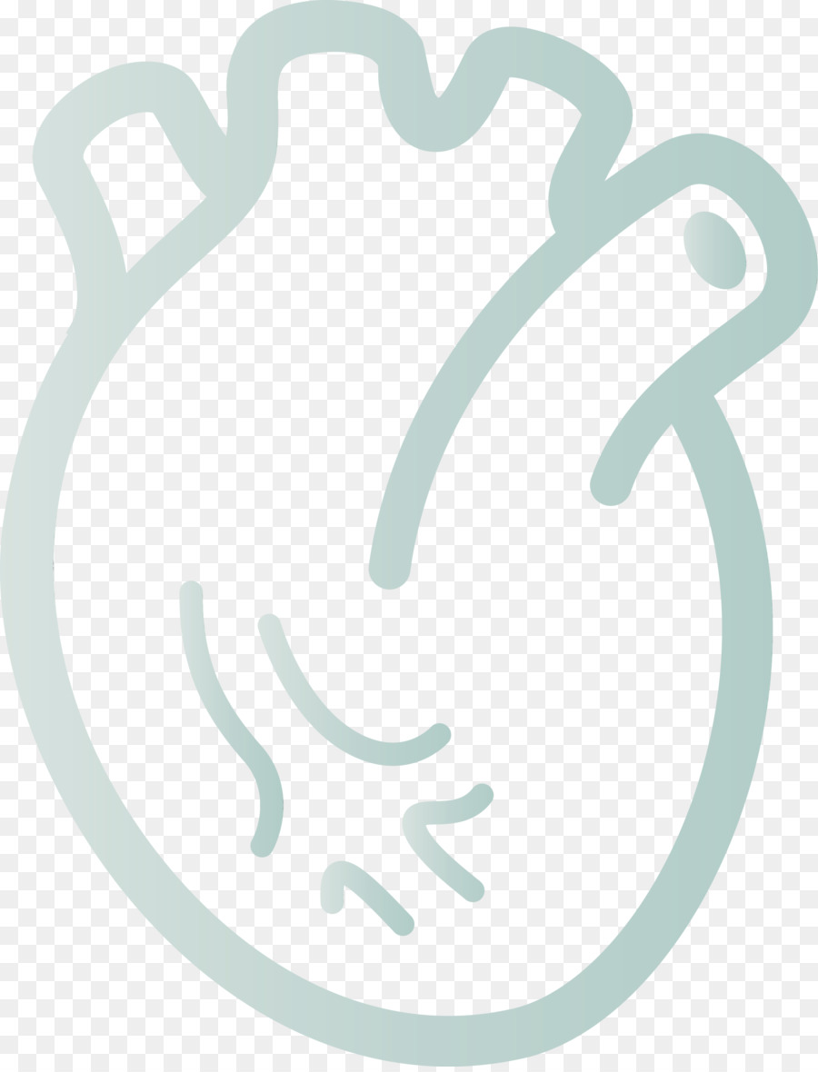 Cœur，Anatomie PNG