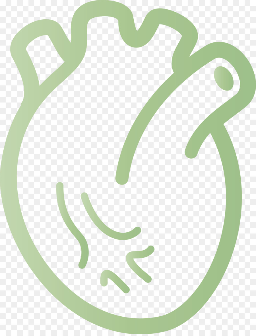 Cœur，Anatomie PNG