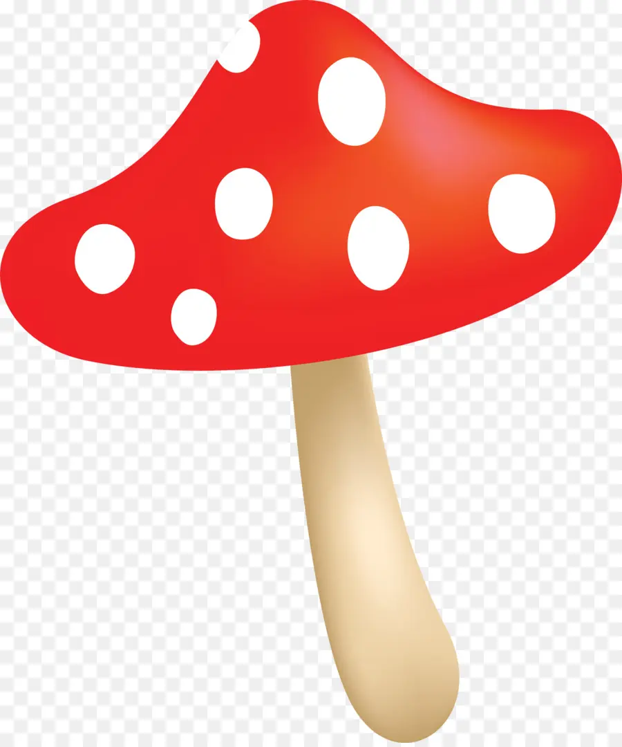 Champignons Colorés，Champignons PNG