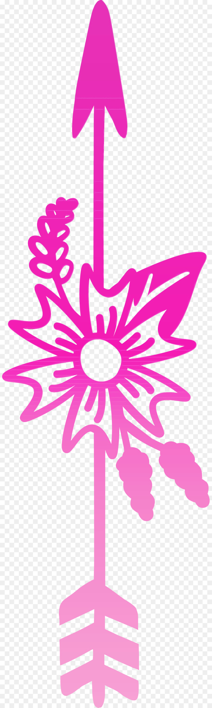 Rose，Magenta PNG