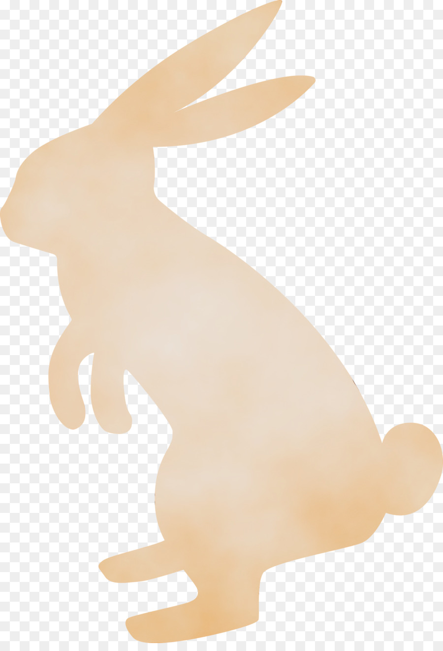 Silhouette De Lapin，Lapin PNG