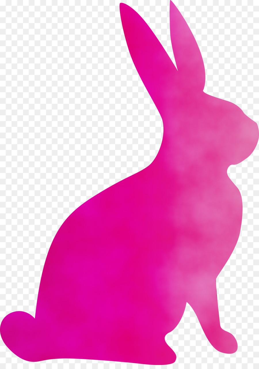 Silhouette De Lapin，Lapin PNG