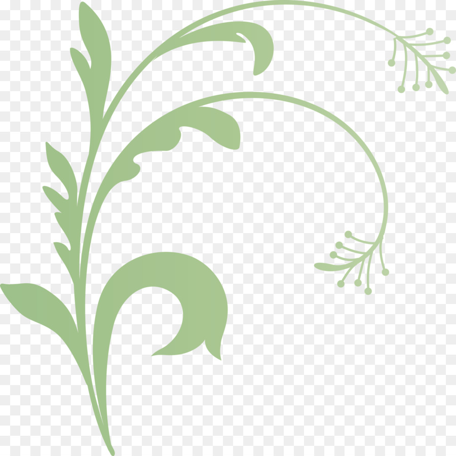 Vigne Verte，Feuilles PNG