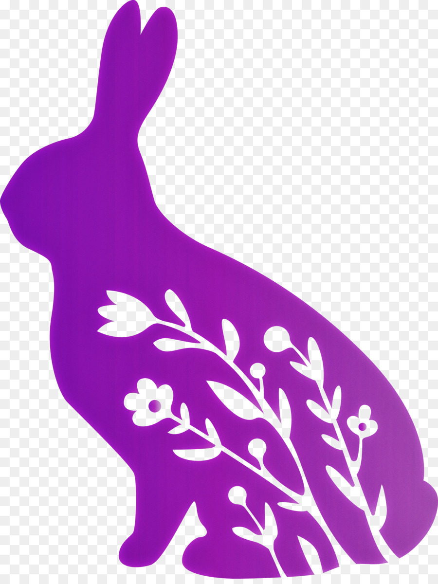 Violet，Lapin PNG