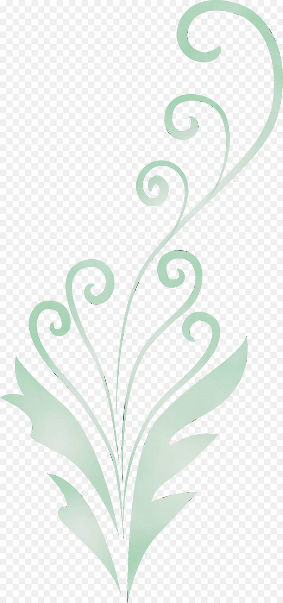 Fleur Rose，Usine PNG