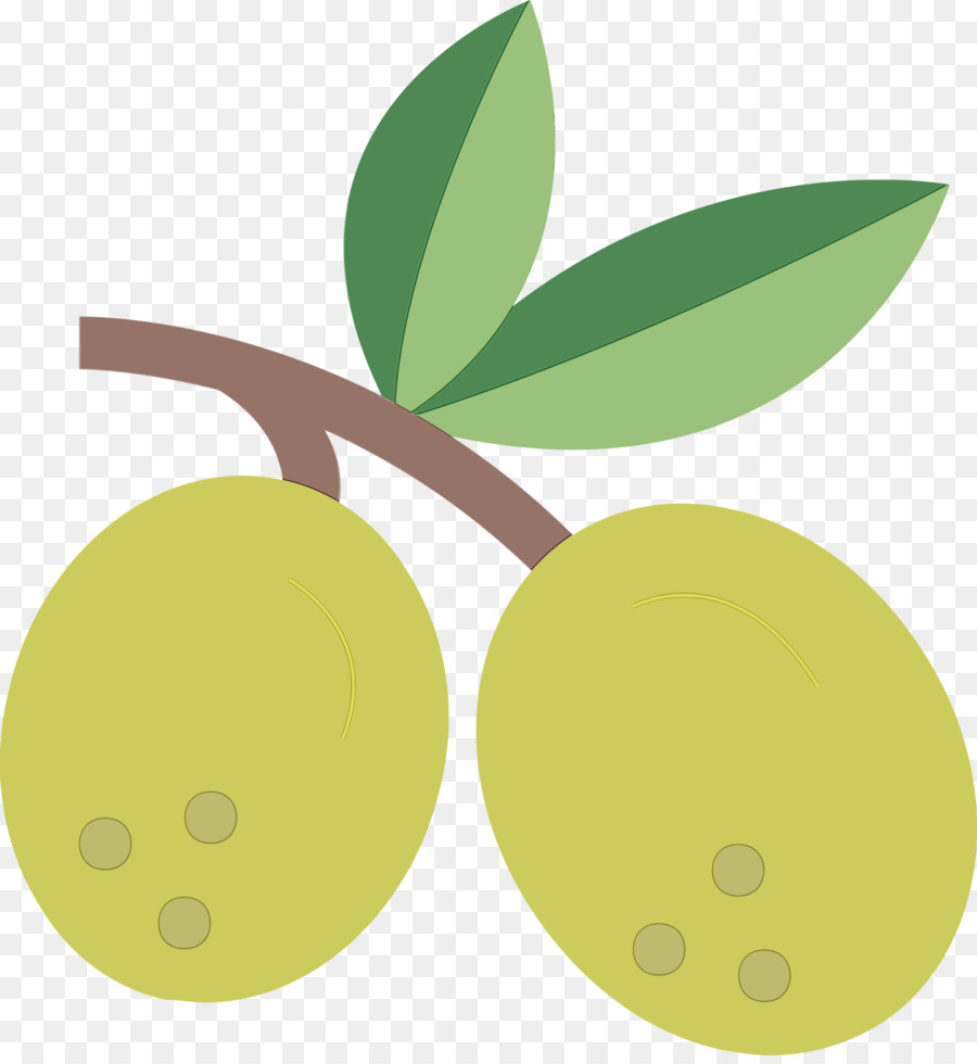 Olive，Feuille PNG