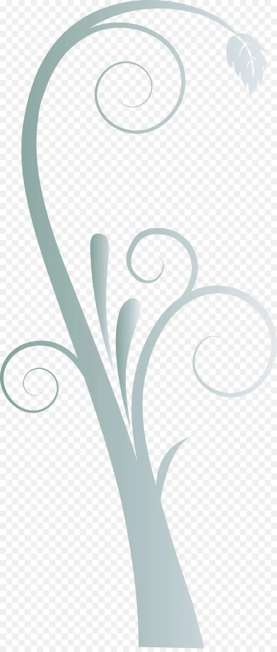 Blanc，Feuille PNG