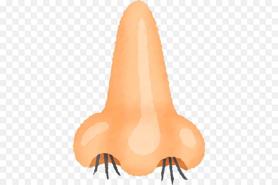 Orange，Nez PNG