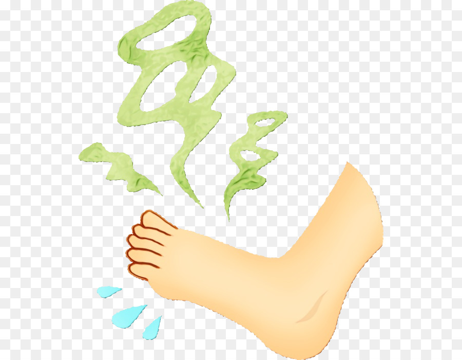 Jambe，Pied PNG