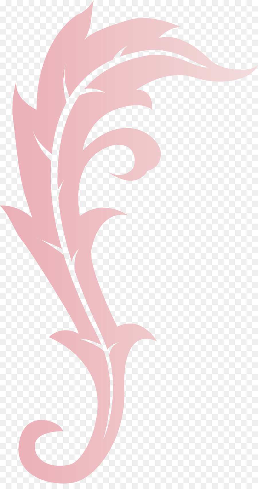 Rose，Plante PNG