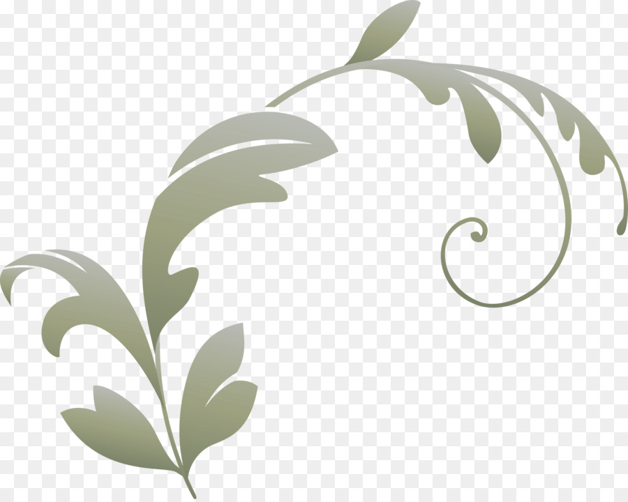 Plante Abstraite，Feuilles PNG