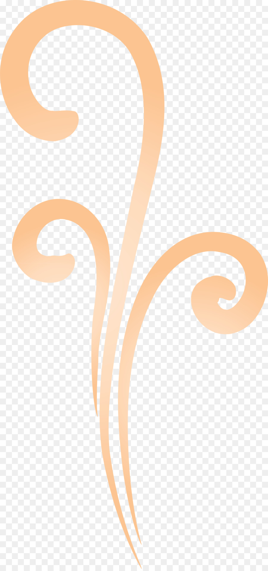 Orange，Beige PNG