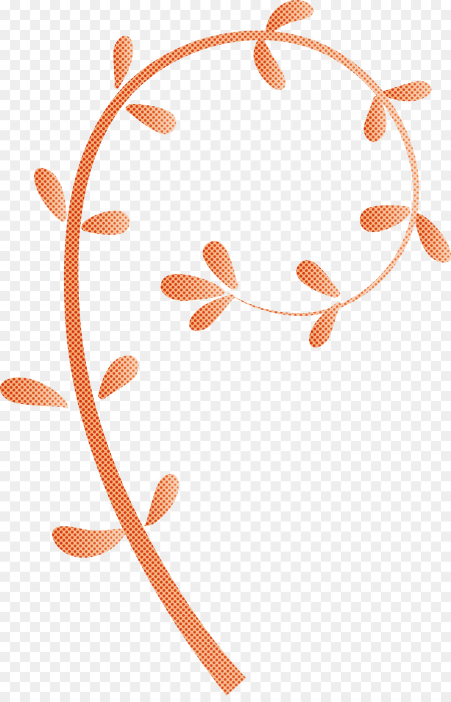 Orange，Feuille PNG