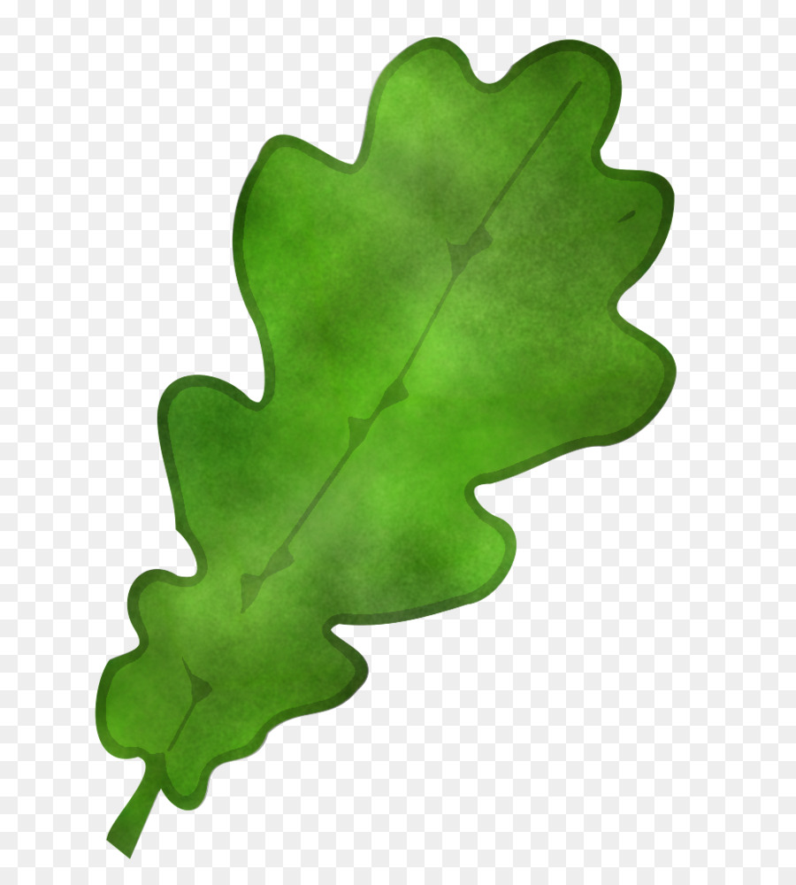 Feuille Verte，Usine PNG