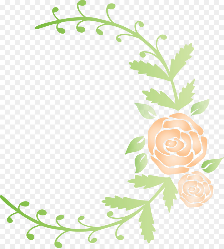 Cadre Floral，Fleurs PNG