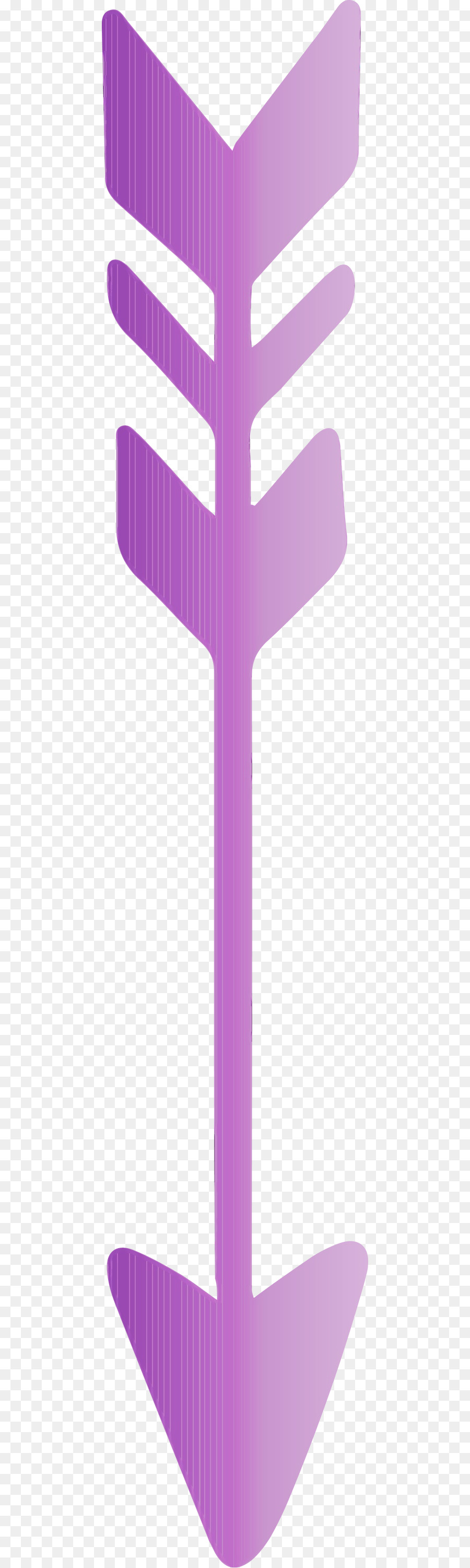 Violet，Rose PNG