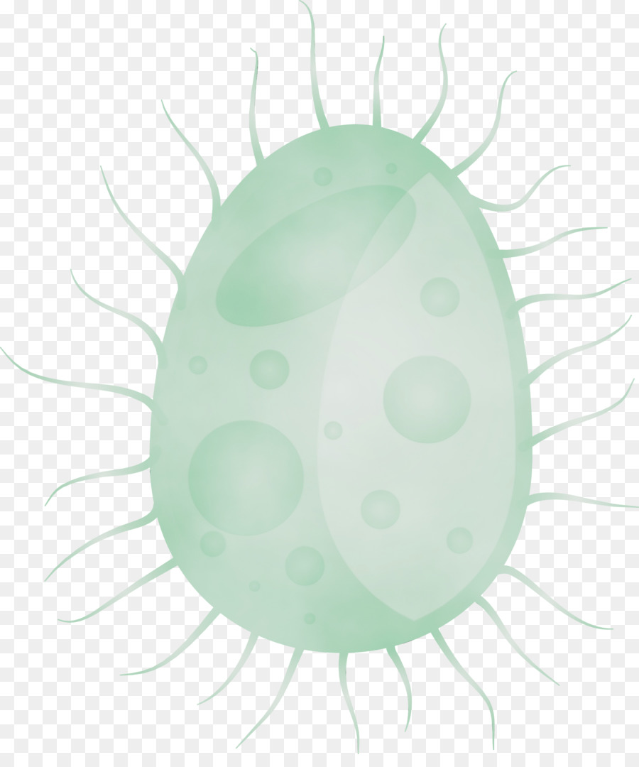 Bactéries，Microbe PNG