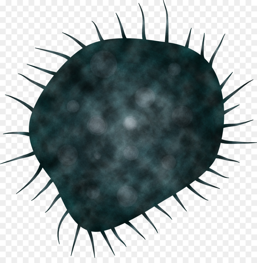 Virus，Bactéries PNG