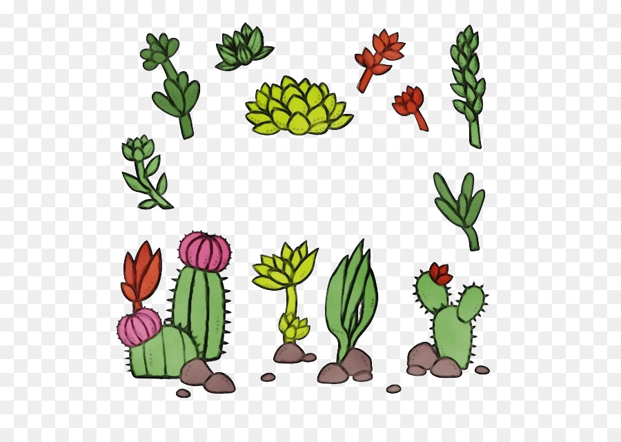 Cactus，Vert PNG