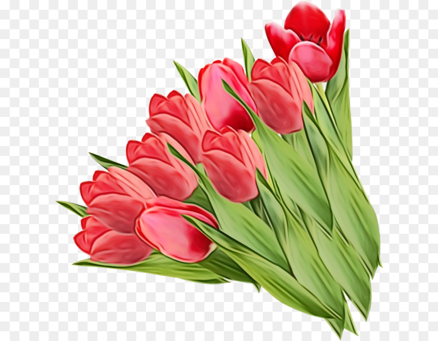 Tulipes Roses，Bouquet PNG