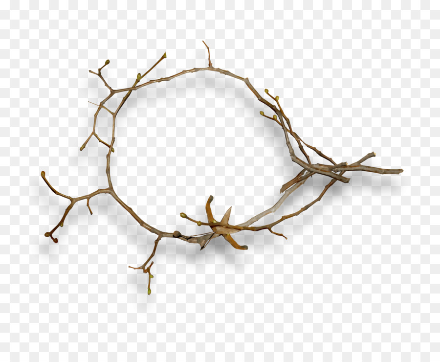 Couronne De Brindilles，Brindille PNG