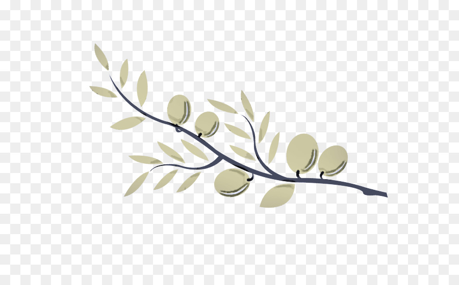 Branche，Feuille PNG